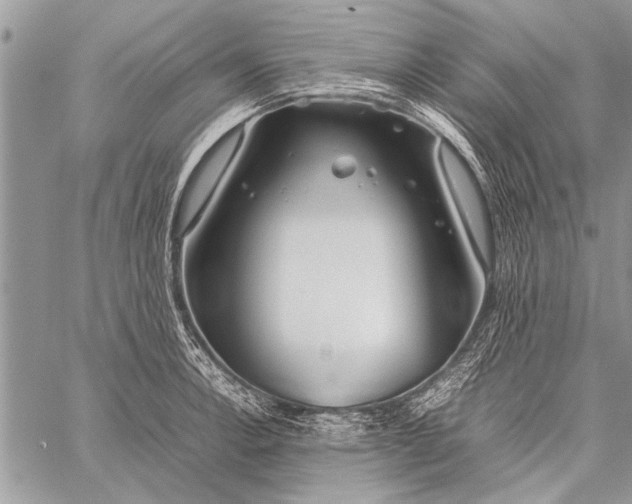 X0000058131138200510171329