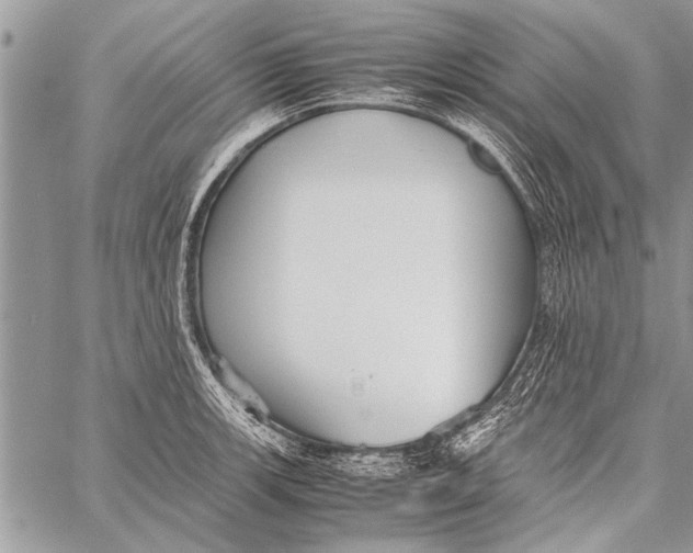 X0000058131139200510171329