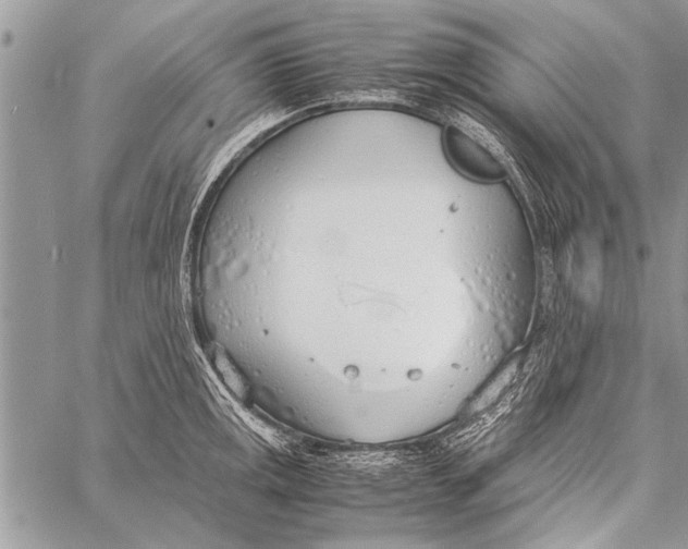 X0000058131141200510171329