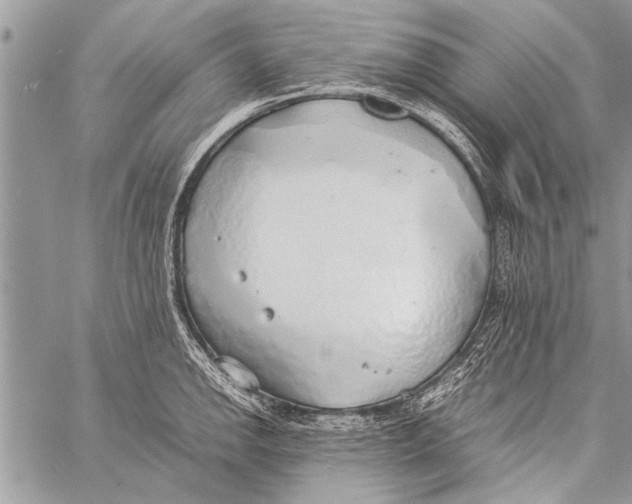 X0000058131142200510171329