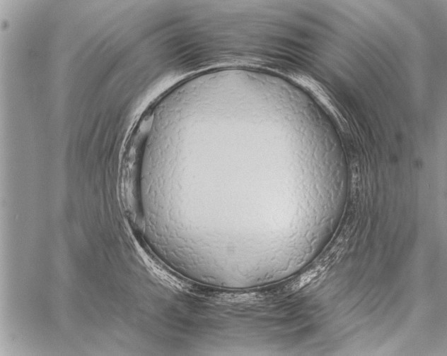 X0000058131143200510171329