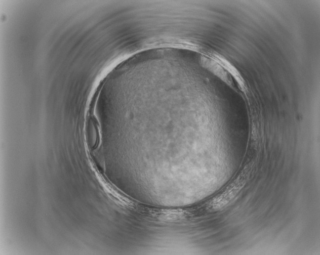 X0000058131144200510171329