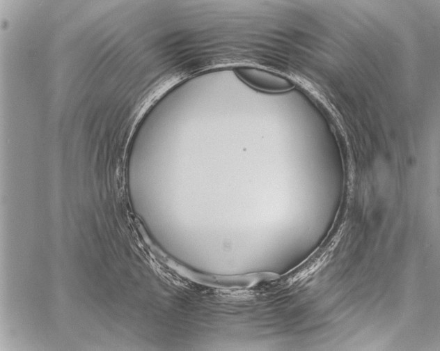 X0000058131145200510171329