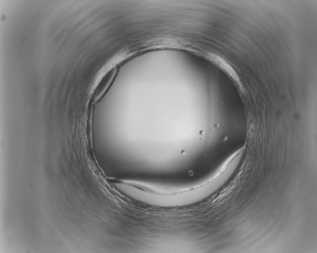 X0000058131146200510171329