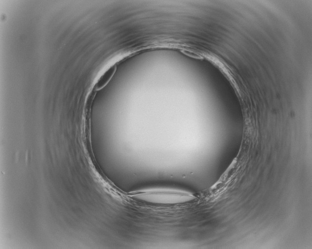 X0000058131147200510171329