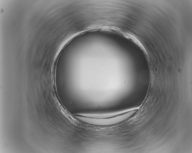 X0000058131148200510171329