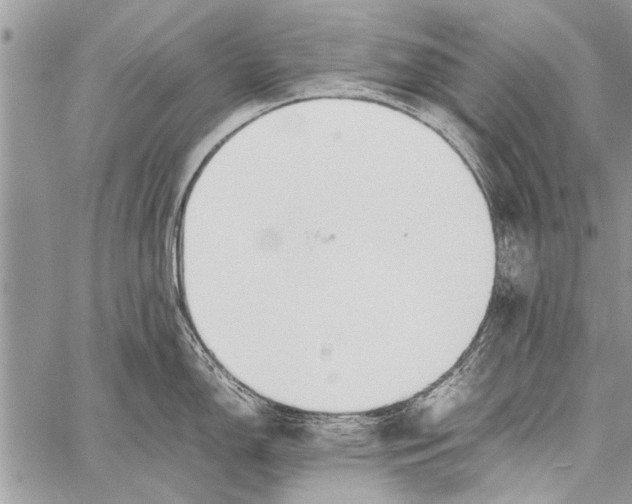 X0000058131150200510171329