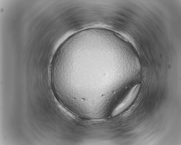 X0000058131151200510171330