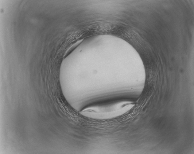 X0000058131153200510171329