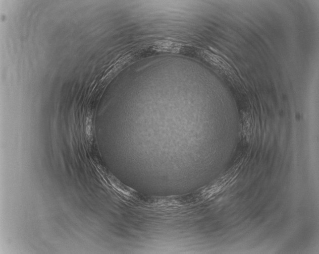 X0000058131154200510171329