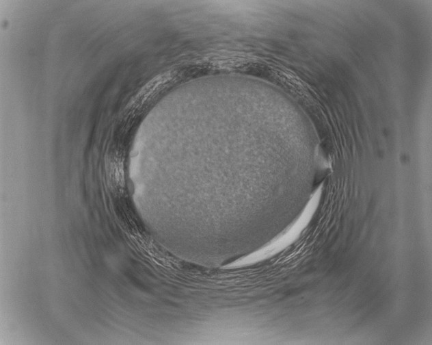 X0000058131155200510171329