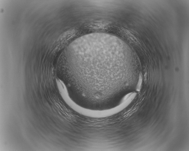 X0000058131156200510171329