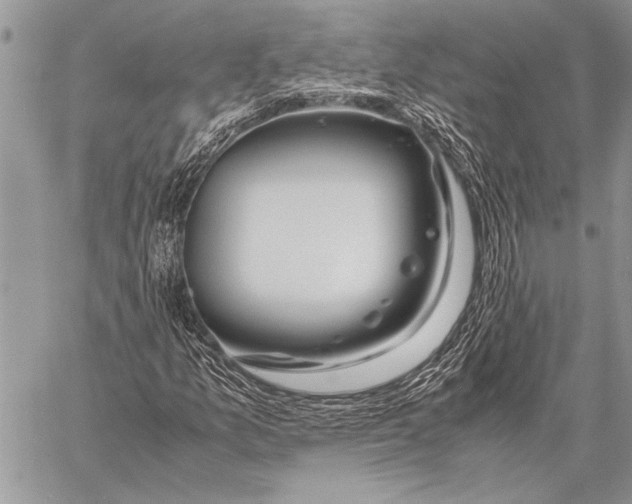 X0000058131157200510171329