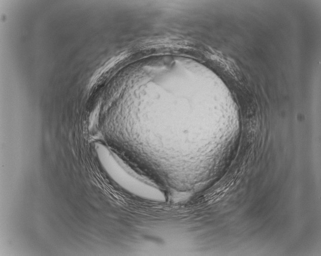 X0000058131159200510171329