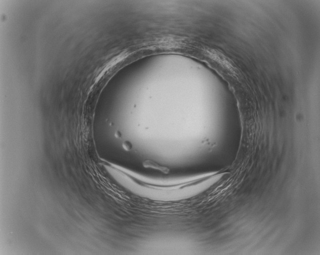 X0000058131160200510171329