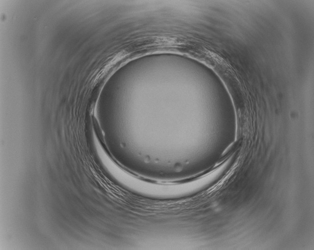 X0000058131161200510171329