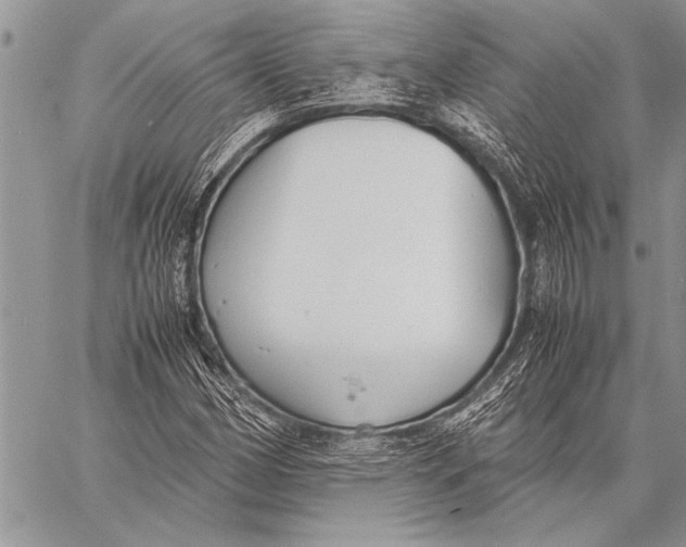 X0000058131162200510171329