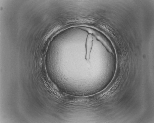 X0000058131163200510171329