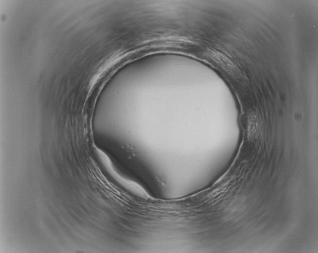 X0000058131164200510171329