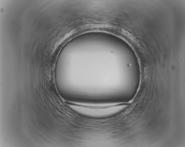 X0000058131165200510171329