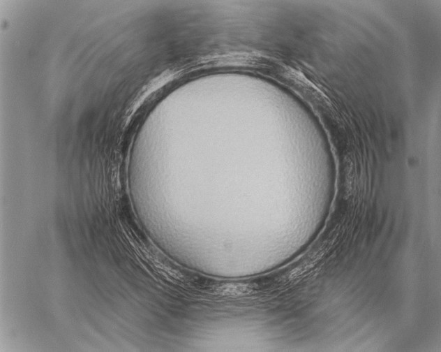 X0000058131166200510171329