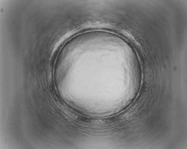 X0000058131167200510171328