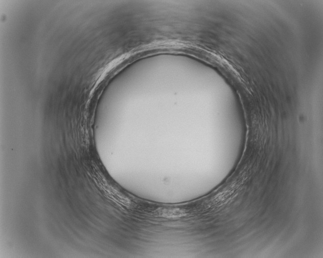 X0000058131168200510171328