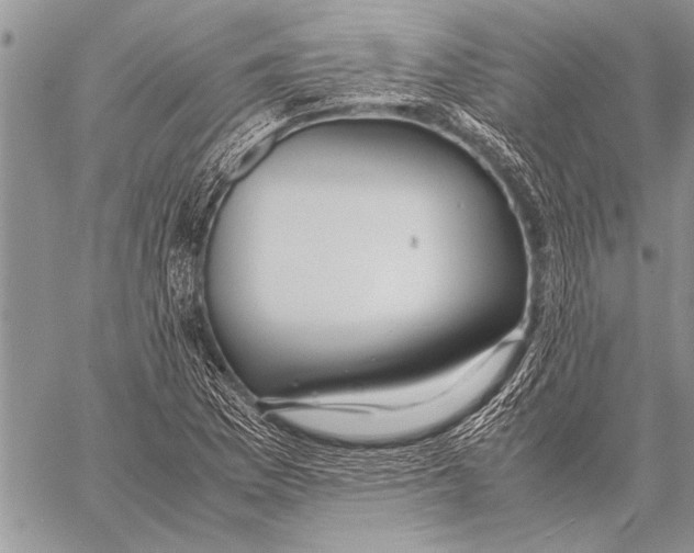 X0000058131169200510171328