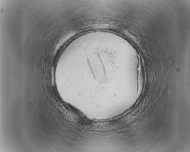 X0000058131171200510171328