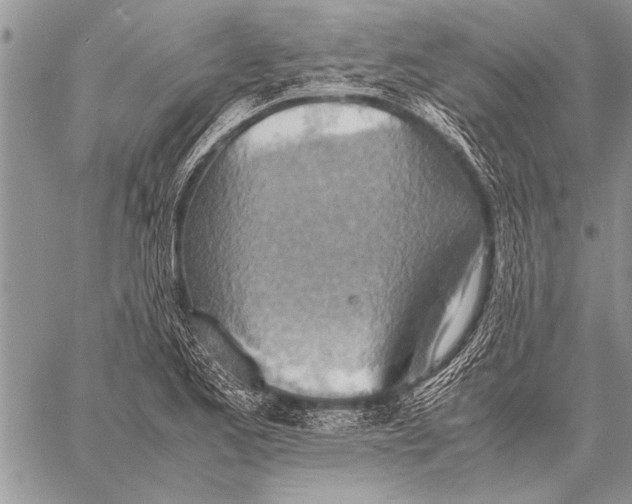 X0000058131173200510171328