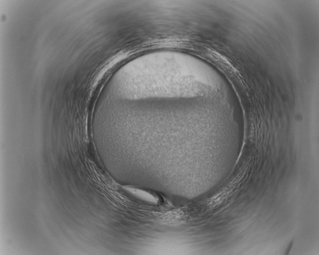 X0000058131174200510171328