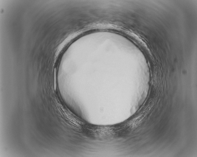 X0000058131175200510171328