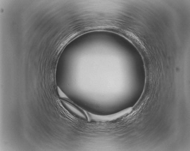 X0000058131177200510171328