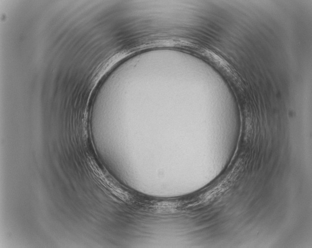 X0000058131178200510171328