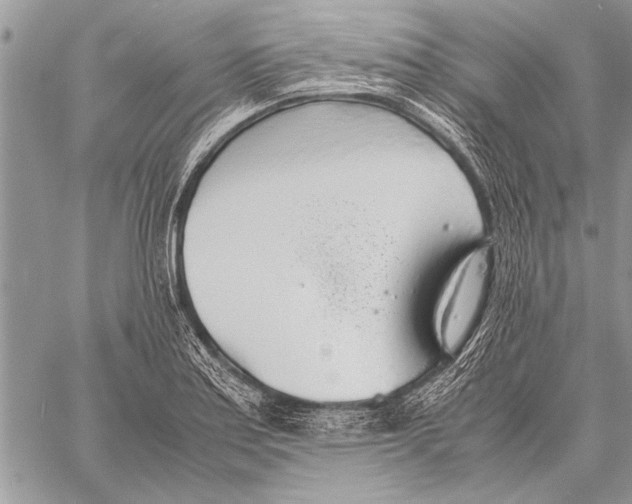 X0000058131179200510171328