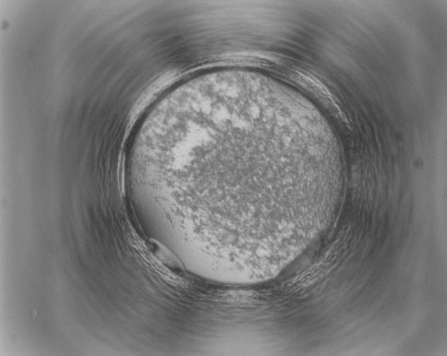 X0000058131180200510171328