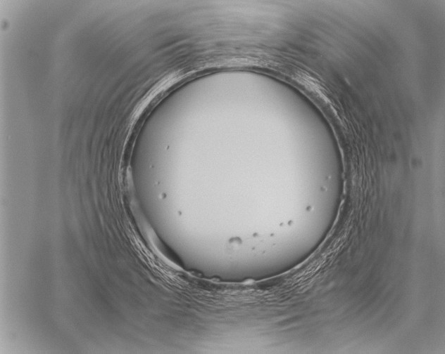 X0000058131181200510171328