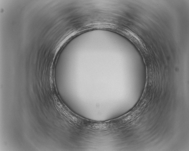 X0000058131182200510171328