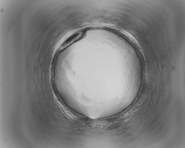 X0000058131183200510171328