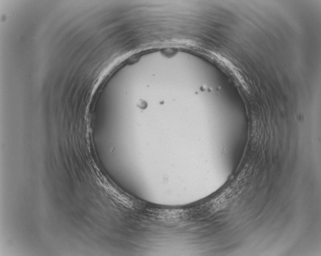 X0000058131184200510171328