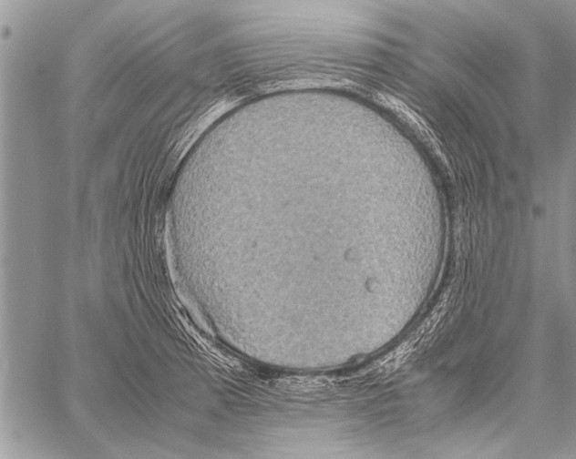 X0000058131185200510171328