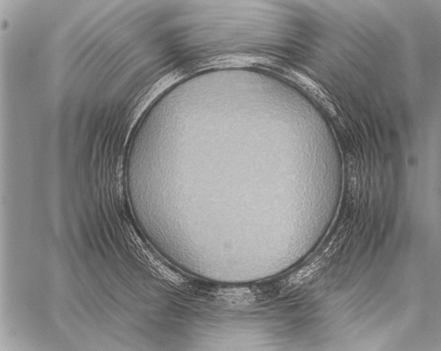 X0000058131186200510171328