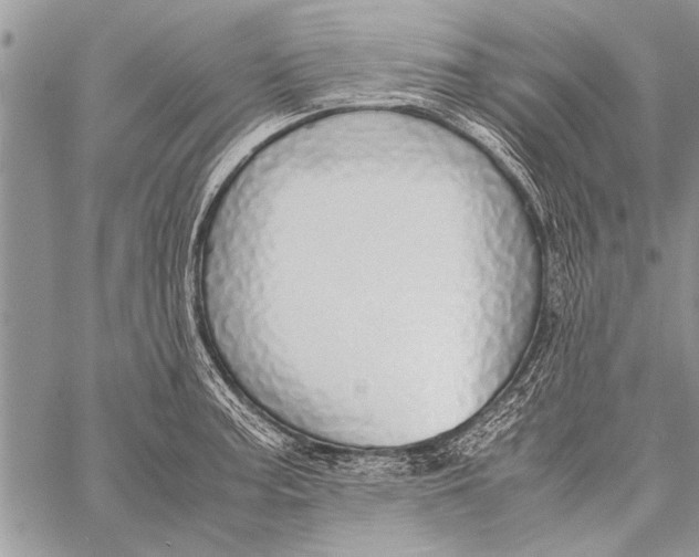 X0000058131187200510171328