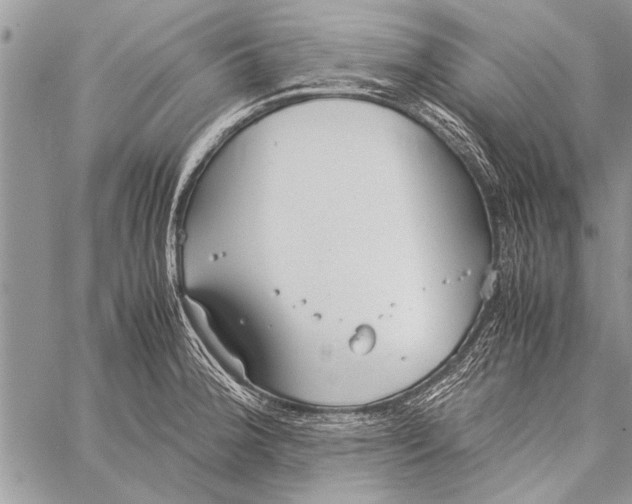 X0000058131188200510171328