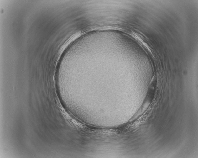 X0000058131189200510171328