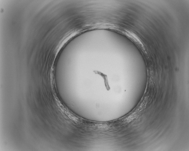 X0000058131190200510171328