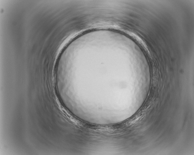 X0000058131191200510171328