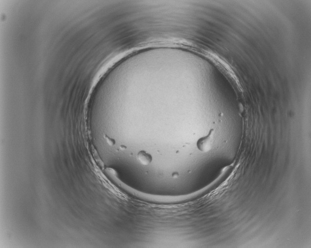 X0000058131192200510171328