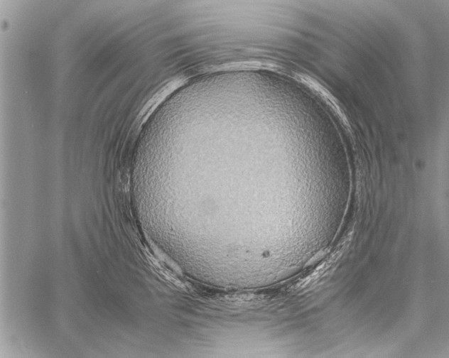 X0000058131193200510171328