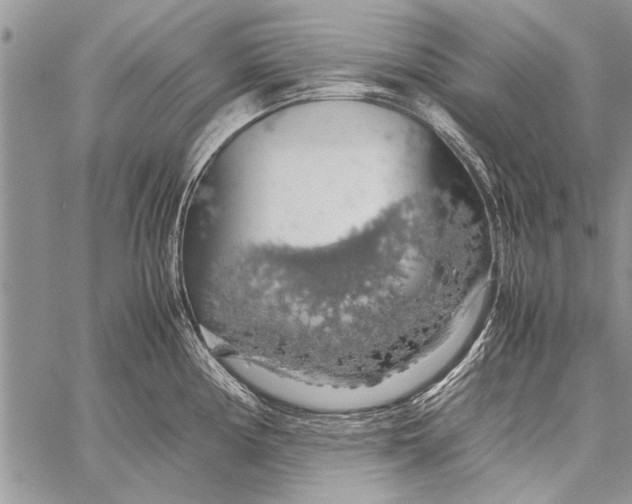 X0000058131194200510171328